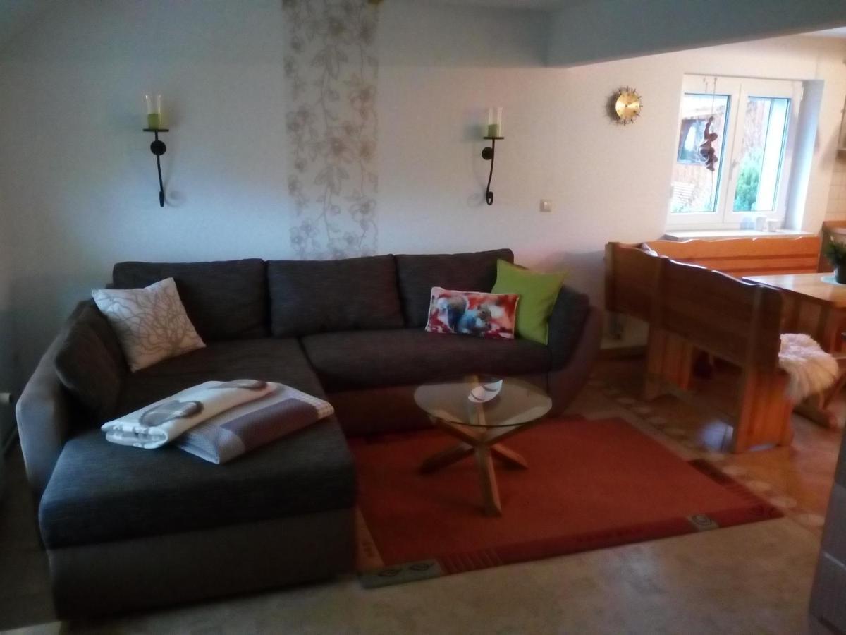 Ferienwohnung Körnerberg Klingenthal Exterior foto