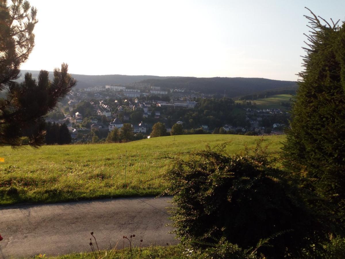 Ferienwohnung Körnerberg Klingenthal Exterior foto