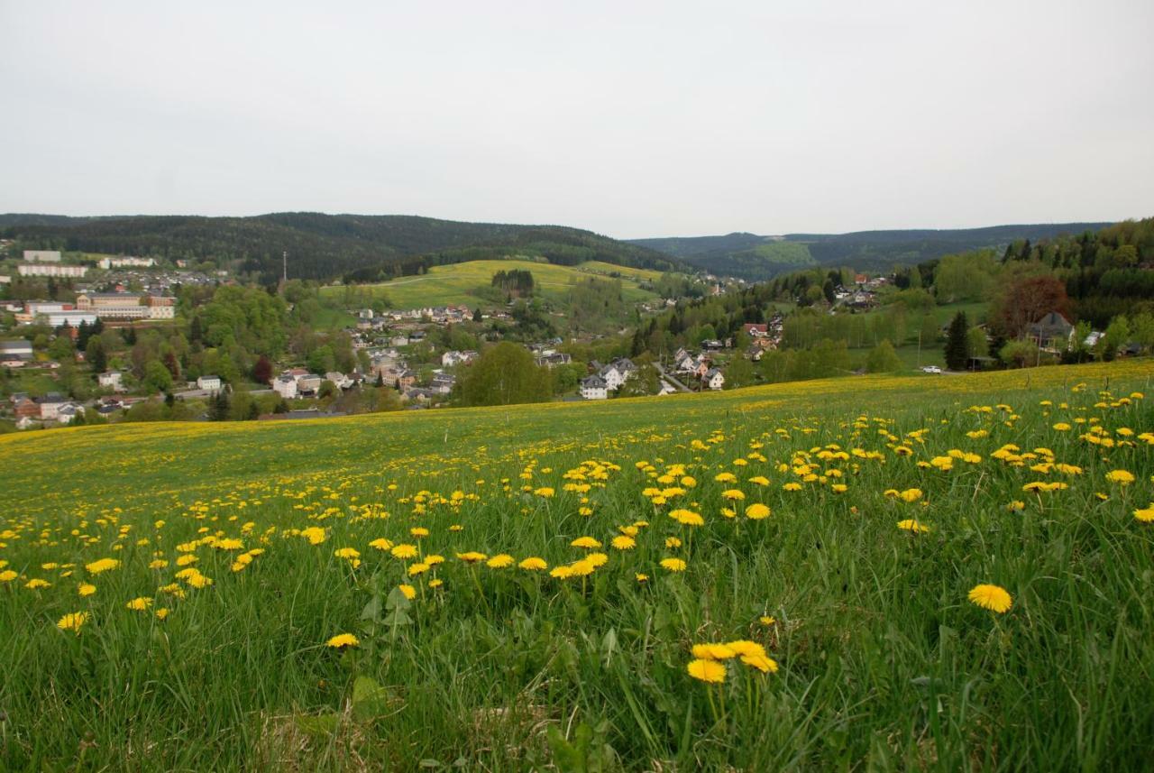 Ferienwohnung Körnerberg Klingenthal Exterior foto