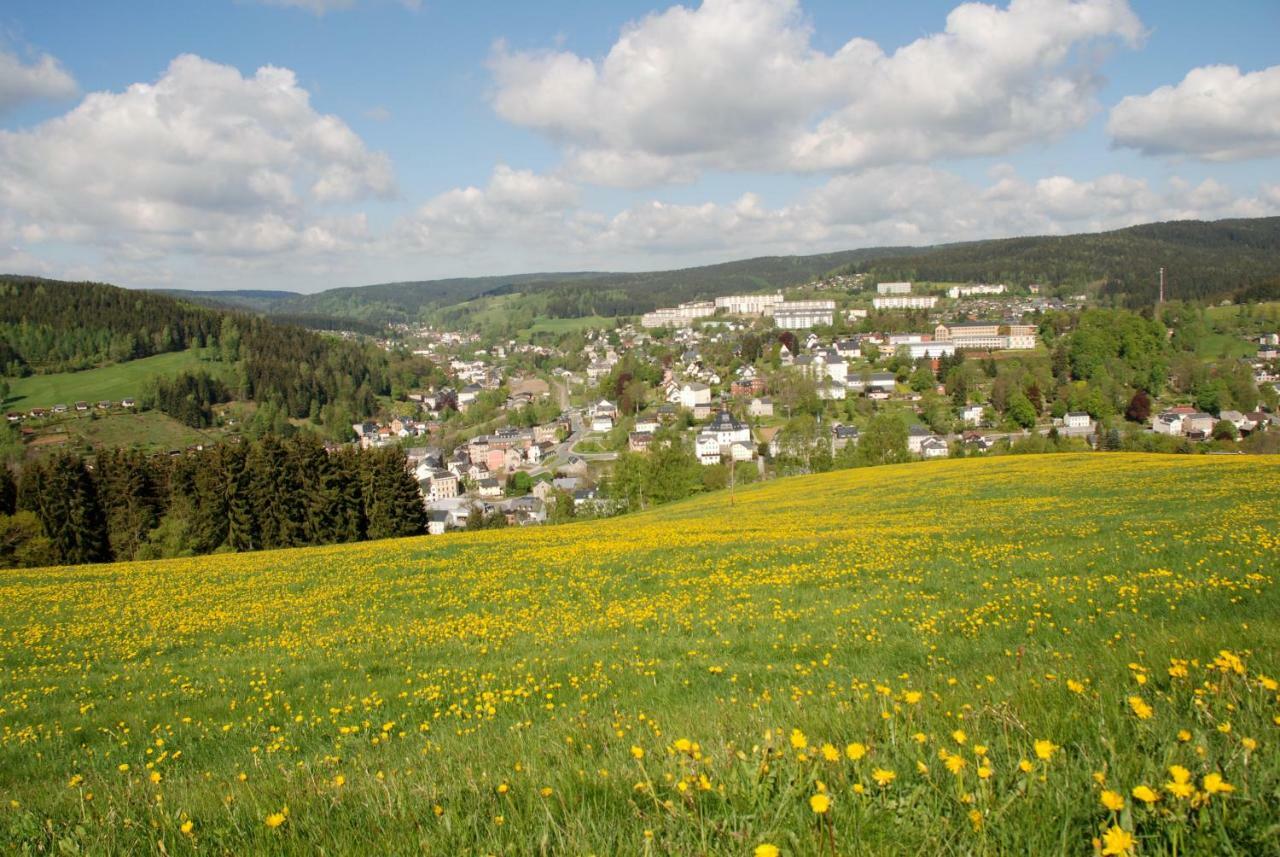 Ferienwohnung Körnerberg Klingenthal Exterior foto